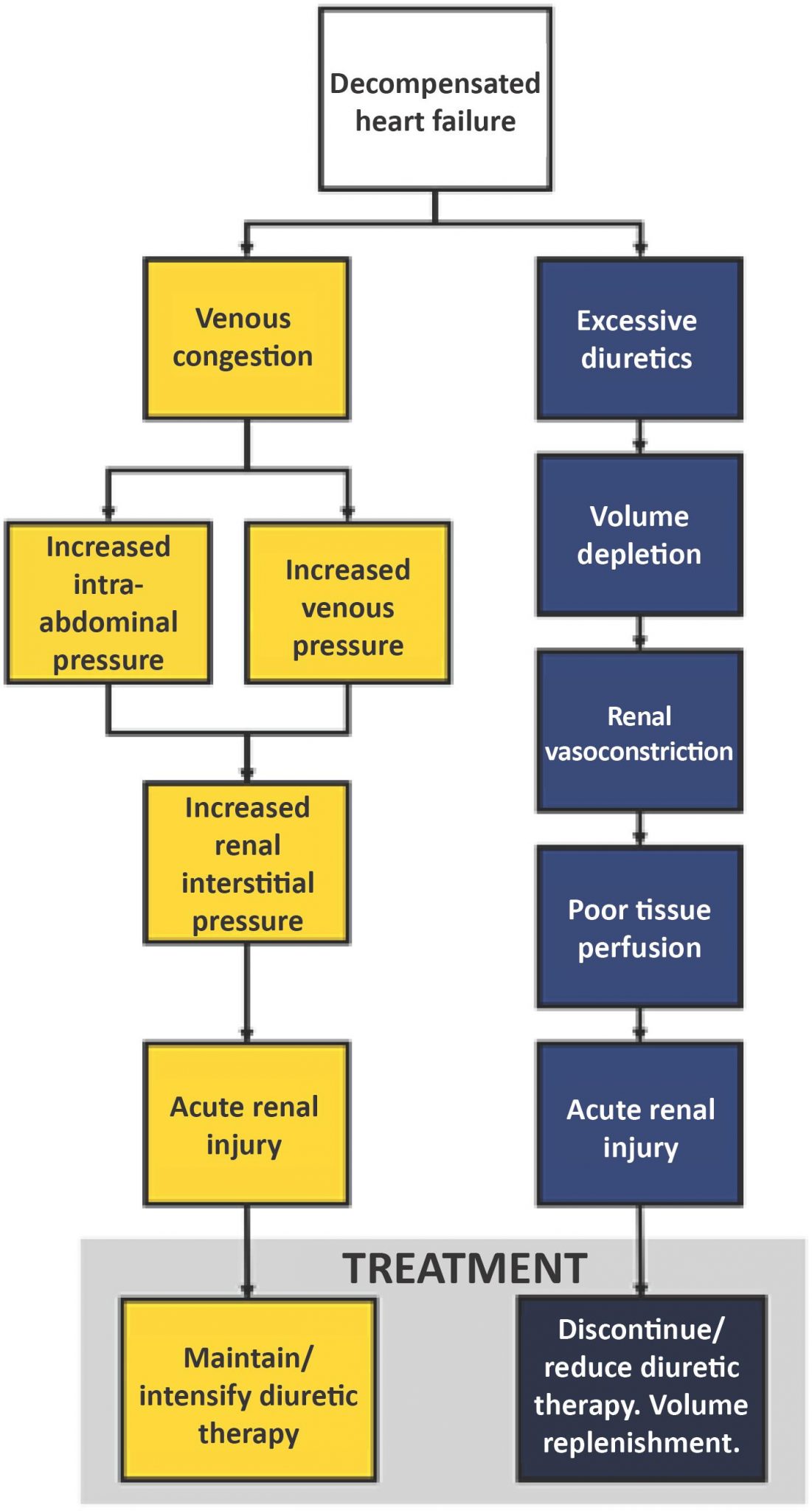 Use of Diuretic Therapy in Patients with Heart Failure